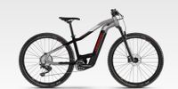 Haibike HardNine 9 urbanGrey/Black Größe M Bayern - Otterfing Vorschau