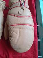 HAYLER LEDER/SKI- HANDSCHUHE,FAUSTHANDSCHUHE Bayern - Weißenhorn Vorschau