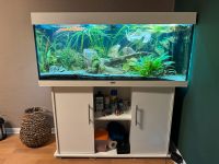 Juwel 250Liter Aquarium komplettset Sachsen-Anhalt - Wolfen Vorschau