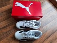 Puma Eliminate Pro II Handballschuhe Neu Volleyball Sachsen - Großröhrsdorf Vorschau