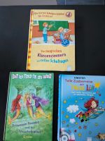 Bücher Paket Prinzessin, Erstleser Schule, Hexe Lilli Hessen - Edermünde Vorschau