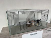 Nagarium, Auslauf und Kleintierheim für Hamster, Mäuse Brandenburg - Kleinmachnow Vorschau