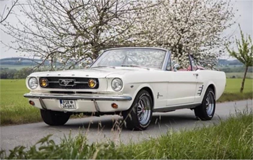 Ford Mustang Cabrio V8 Cabrio White mieten - Hochzeit, JGA in Pirna