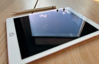 Apple iPad Pro 1. Gen 32GB, Wi-Fi, 9,7 Zoll - Roségold Hamburg-Mitte - Hamburg Billstedt   Vorschau