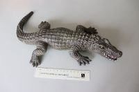 Spielzeug-Krokodil aus Gummi Hessen - Raunheim Vorschau