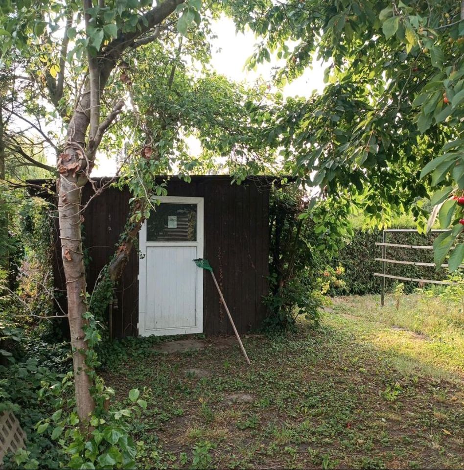 Gartengrundstück Eigentumsland Gartenanlage Eigentümer werden in Friedensstr., 15328 Küstriner Vorland(58km von Berliner Stadtgrenze) in Frankfurt (Oder)