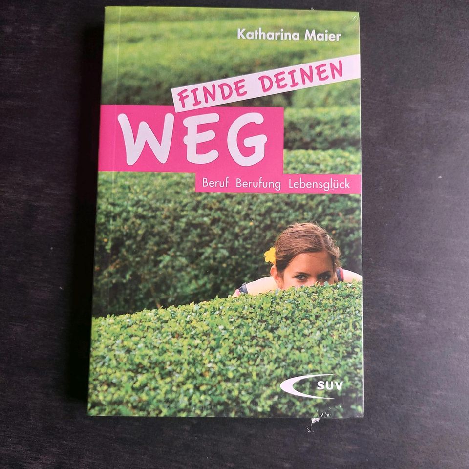 Buch "Finde Deinen Weg" Beruf, Berufung, Lebensglück in Kaufbeuren