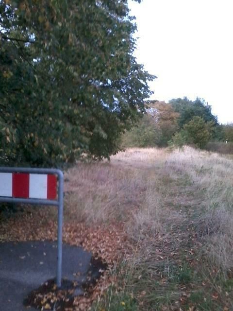 Kapitalanlage! Baugrundstück mit guter Anbindung an die B482 in Rehburg-Loccum