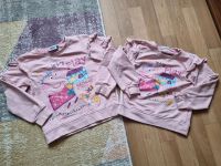 2 tolle Pullover Peppa Wutz Zwillinge Gr. 1x 110/ 1x116 Dresden - Briesnitz Vorschau