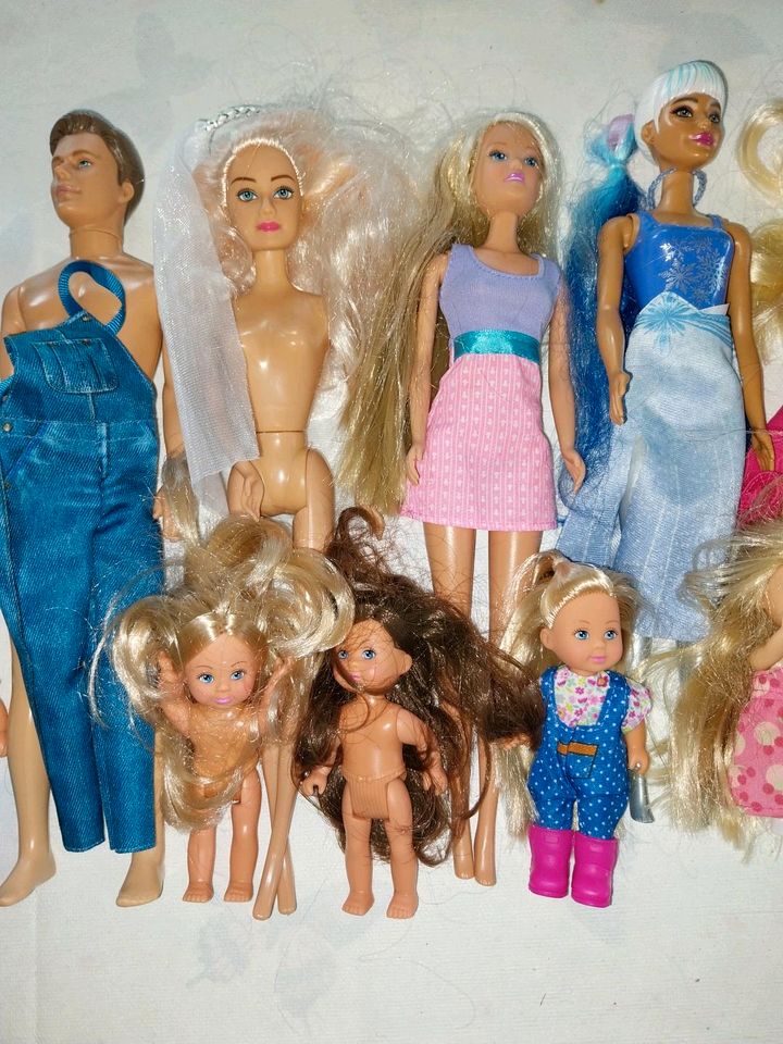 Barbie,  Color Reveal,  Steffi Love,  Evi Love,  13 Puppen in Hohnstorf (Elbe)