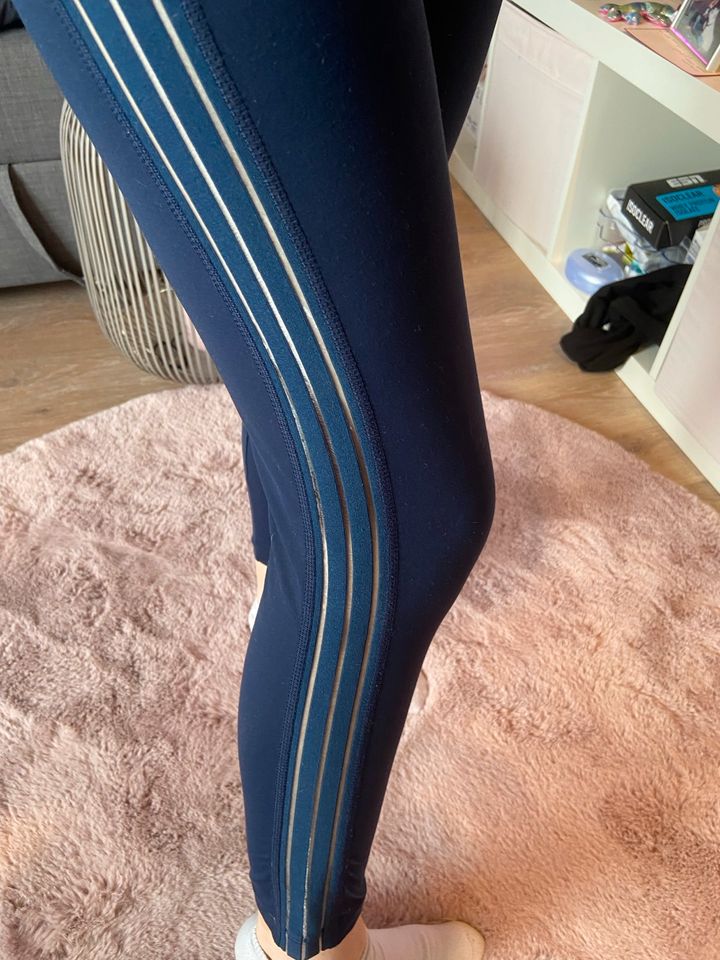 Leggings mit durchsichtigen Streifen in Borken