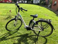 E Bike Pegasus ** neuwertig** Schleswig-Holstein - Sankt Margarethen Vorschau