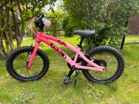 Ollo Fahrrad 16 Zoll Pink Altona - Hamburg Rissen Vorschau