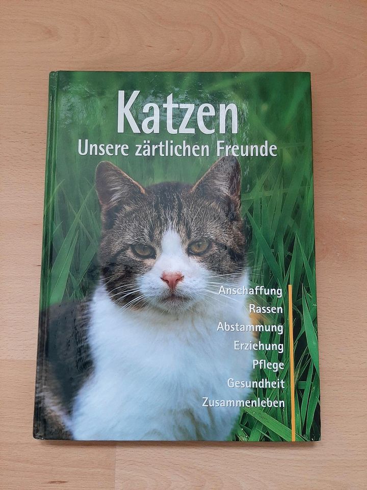 Katzen- Unsere zärtlichen Freunde- Sachbuch von Antje Breuer in Thum