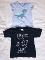 T-Shirt Gr. 110 116 Dragons Eiskönigin Sachsen - Obergurig Vorschau