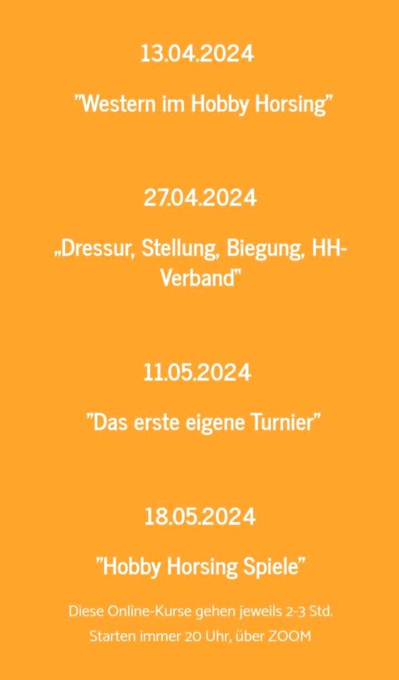 Hobby Horsing Online-Beratung, Kurse, Coaching in Neustadt am Rübenberge
