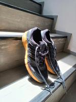Adidas boost 43 Jogging Joggen Laufschuhe Rheinland-Pfalz - Mainz Vorschau