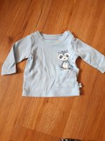 Baby Shirt hellblau mit Waschbär 56 Rheinland-Pfalz - Gau-Bischofsheim Vorschau