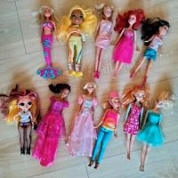 Große Barbie Sammlung *11 Stück* Sachsen-Anhalt - Wernigerode Vorschau
