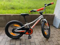 Specialized Kinder Mountainbike Rheinland-Pfalz - Schweich Vorschau