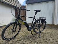 Herren E-Bike Stella Morena 28" (Modelljahr 2020) Nordrhein-Westfalen - Dinslaken Vorschau