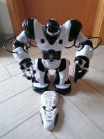 Kinderspielzeug  Roboter Thüringen - Nesse-Apfelstädt Vorschau