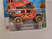 Hot Wheels Treasure Hunt 2017 Jeep Wrangler Modellauto rar 2022 Sachsen - Oelsnitz / Vogtland Vorschau