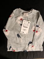 Zara baby 6-9 Monate Düsseldorf - Hafen Vorschau