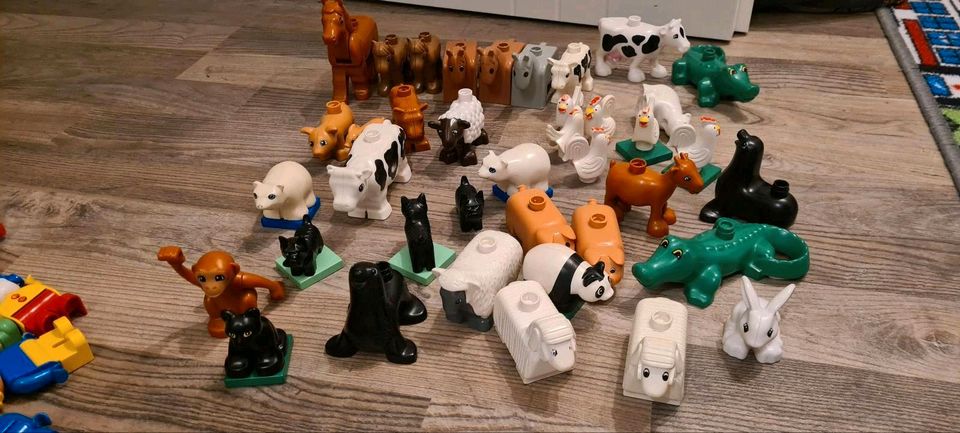 Lego Duplo XXL Paket Tiere Menschen Fahrzeuge Bauplatten Steine in Lehre