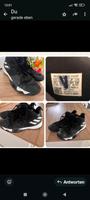 Basketballschuhe 47 1/3 Düsseldorf - Lörick Vorschau