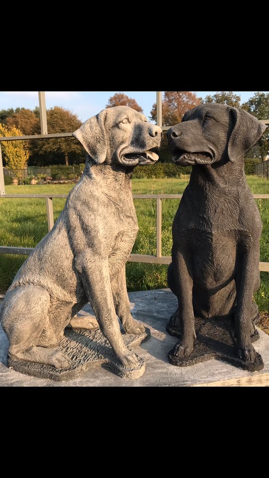 Labrador Retriever 80cm 90kg Lebensgroß Steinguss Labbi Lab Hund in Karlsruhe