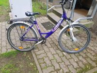 Fahrrad 24 Zoll Niedersachsen - Salzgitter Vorschau