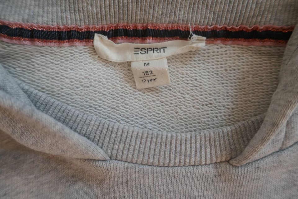 5 Sweatshirts für Mädchen , Gr. 146 in Ummendorf