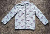 Jungen Fleecejacke 140 Dinosaurier Berlin - Hellersdorf Vorschau