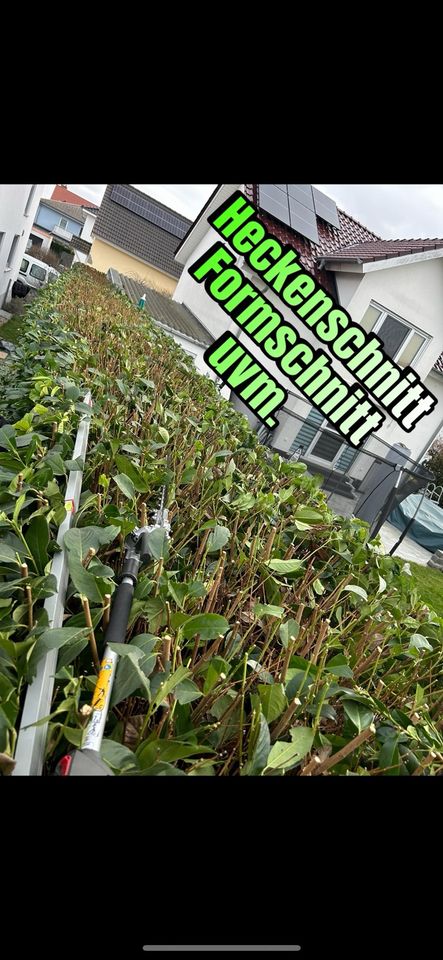 Vermietung Gerüst, Bau-Gartenhelfer uvm. weitere Dienstleistungen in Pfungstadt