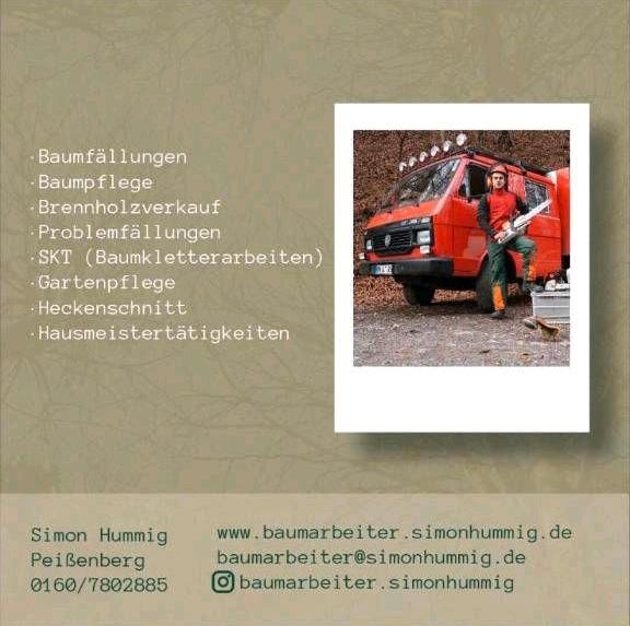 Baumfällung, Baumkletterer, Problemfällung, Baum Abtragen in Peißenberg