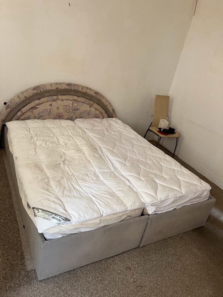Doppelbett Bett zu verschenken in Braunschweig