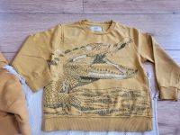 Zara 116 Sweatshirt leichter Pulli passt zu H&M Krokodil Hessen - Reinheim Vorschau