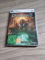 PC Game Dungeons Baden-Württemberg - Gottmadingen Vorschau