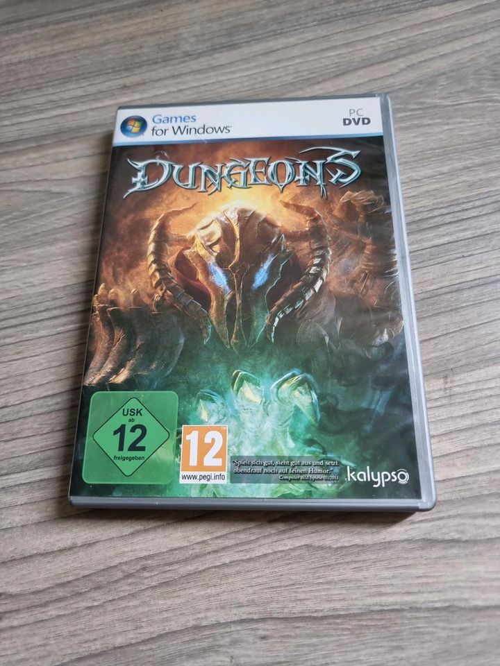 PC Game Dungeons in Gottmadingen