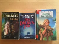 Die Bedrohung Wolfgang Hohlbein Marion Zimmer Bradley Fantasy Bayern - Sand a. Main Vorschau