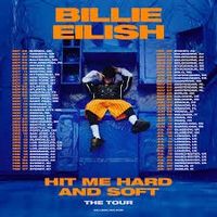 billie eilish berlin tickets 09.05.2024 Berlin - Reinickendorf Vorschau