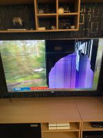 Philips Ambilight 65zoll Nordrhein-Westfalen - Witten Vorschau