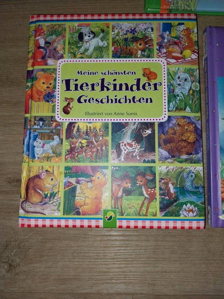 Bücher für die "Kleinen"*Tierkindergeschichten*Grünasenhasen*Nixe in Altbach