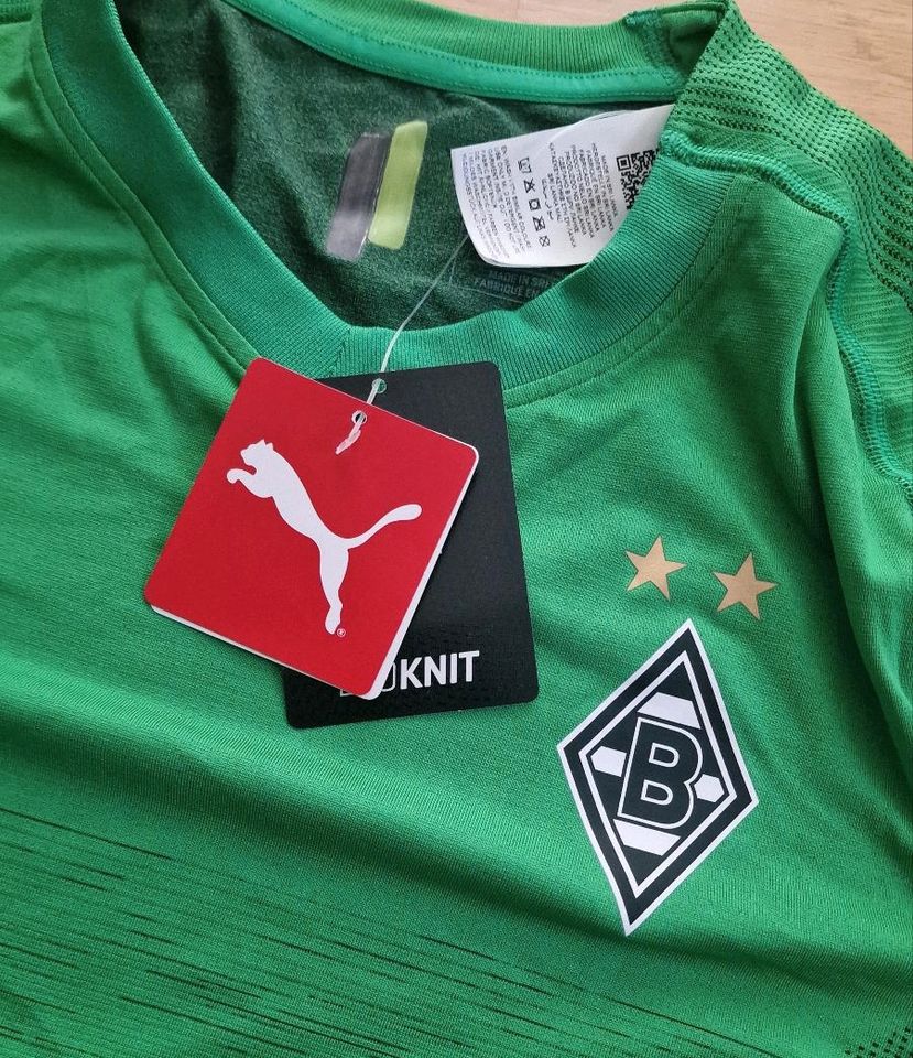 Trikot Borussia Mönchengladbach Gladbach Spielerversion Puma in Nettetal