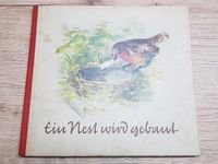 Ein Nest wird gebaut, DDR Kinderbuch, Helingsche, 1. Aufl. 1963 Leipzig - Altlindenau Vorschau