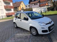 Fiat Panda Baden-Württemberg - Meckenbeuren Vorschau