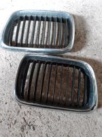 Bmw e36 Nieren Kühlergrill Rheinland-Pfalz - Mendig Vorschau