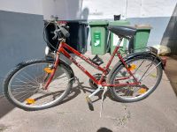 Fahrrad Damenrad 24 Zoll Esperia Colorado neue Bereifung Rheinland-Pfalz - Mainz Vorschau