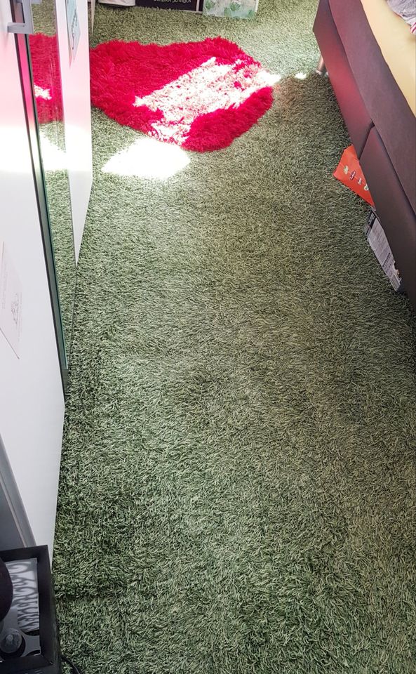 zuschneidbar Teppich Unterlage grün Hochflor Shaggy 4x4m in Lübeck